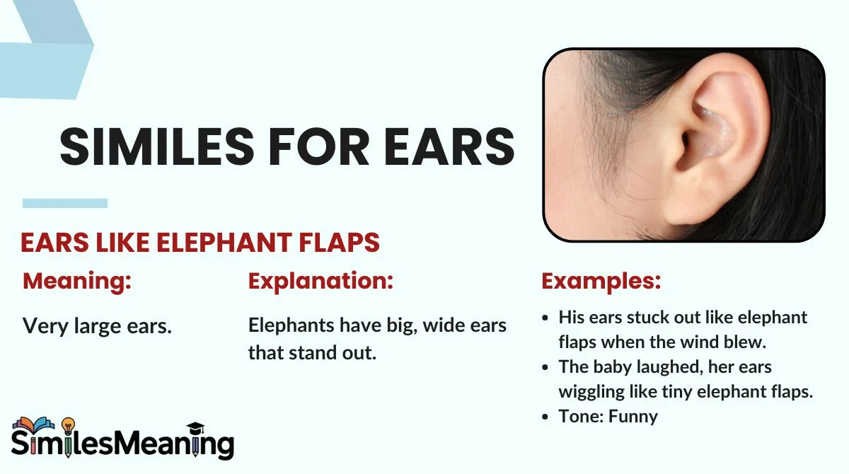 Similes for Ears