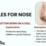 Similes for Nose