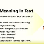 DPWM Meaning in Text