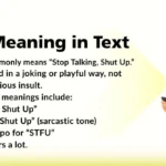 STSU Meaning in Text