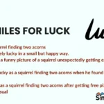 Similes for Luck