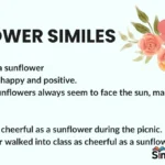 Flower Similes