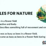 Similes for Nature