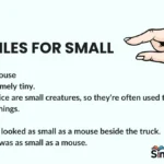 Similes for Small
