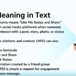 LMSS Meaning in Text